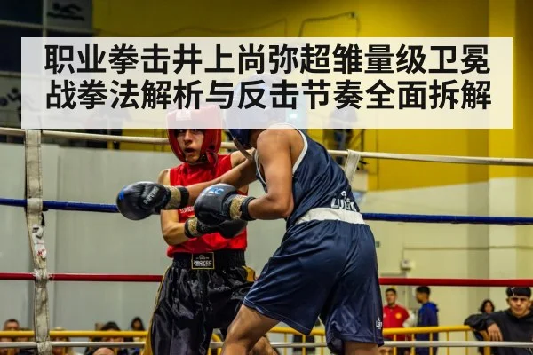 职业拳击井上尚弥超雏量级卫冕战拳法解析与反击节奏全面拆解